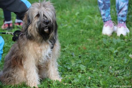 Uspešno izveden 6. dobrodelni tek in pohod v Kamniku  (61)